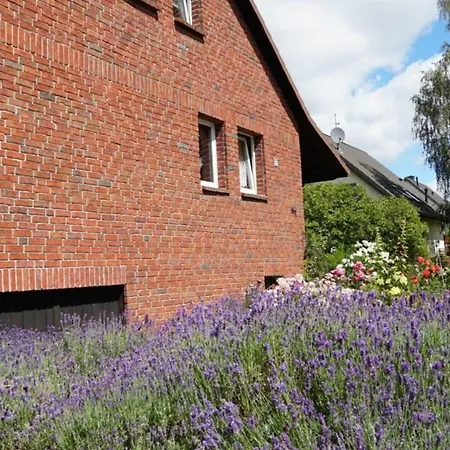 Limone 1 * Neu Lindenberg