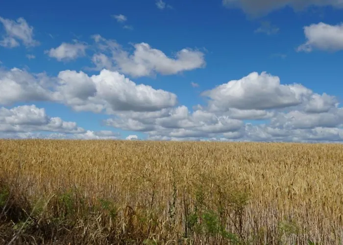 Limone 1 Apartamento