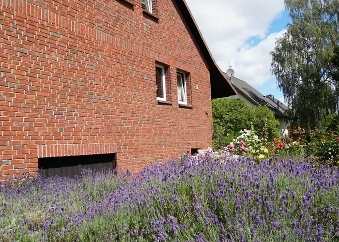 Limone 1 * Neu Lindenberg